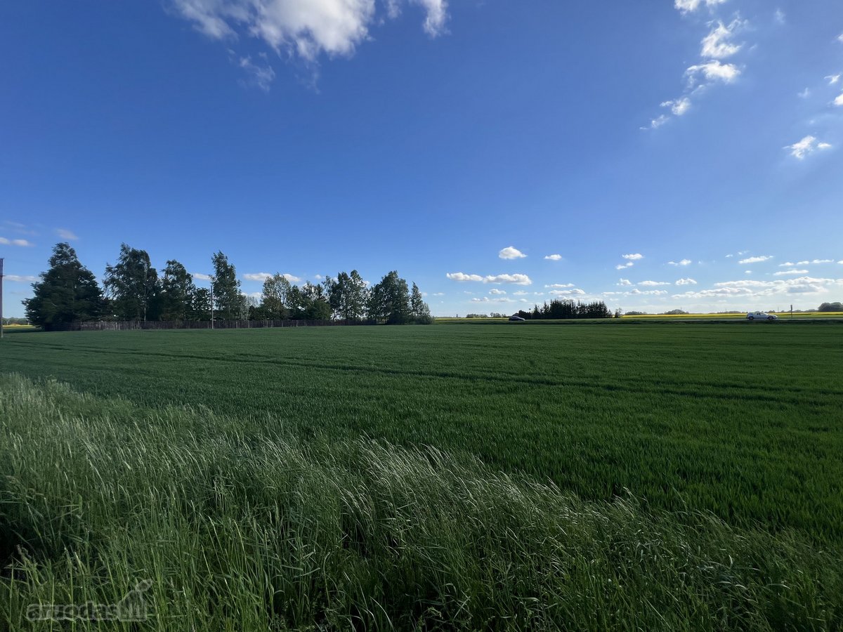 Parduodamas perspektyvus žemės sklypas šalia - nuotraukos Nr. 10
