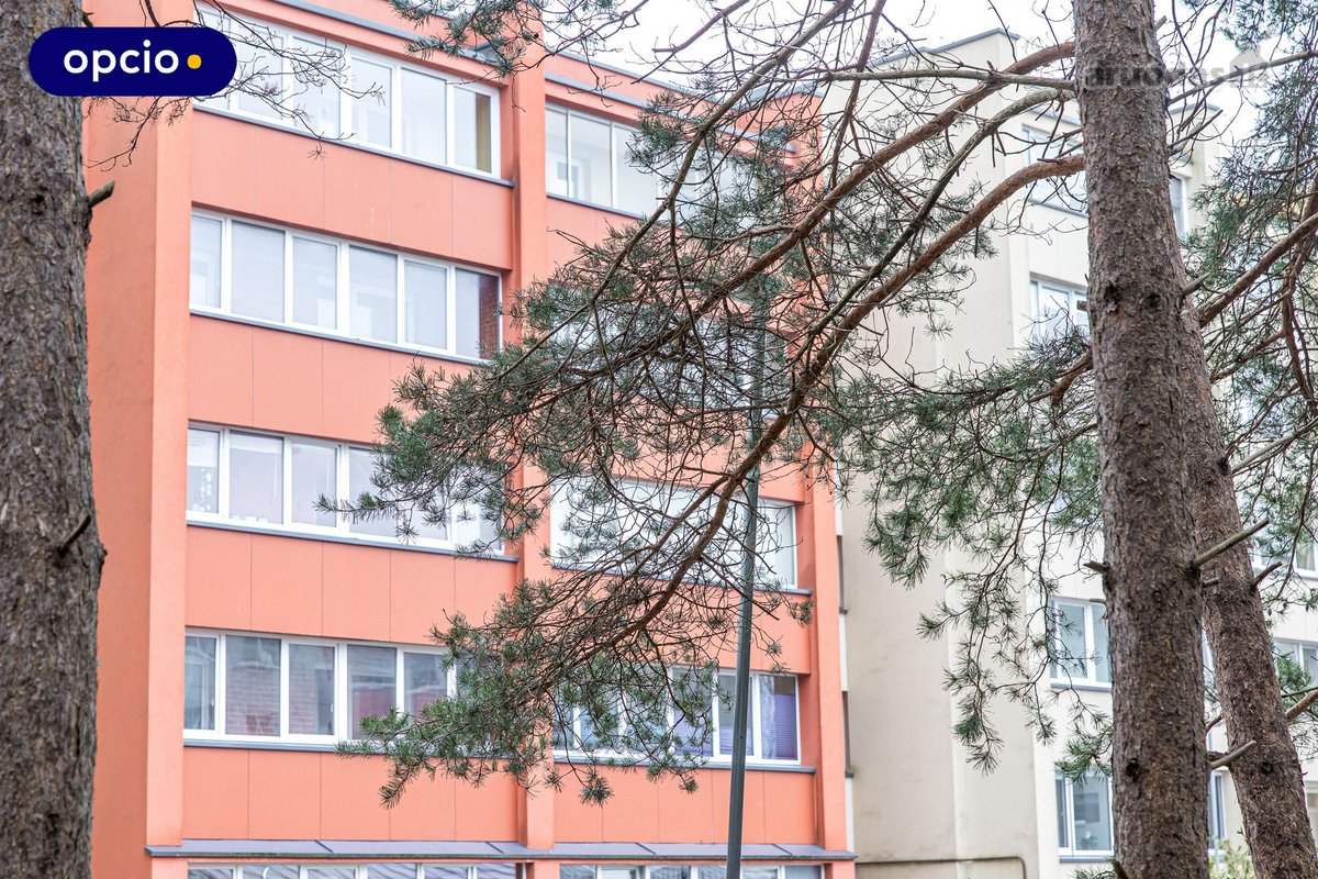 Parduodamas jaukus 3 kambarių butas Palangoje - nuotraukos Nr. 43