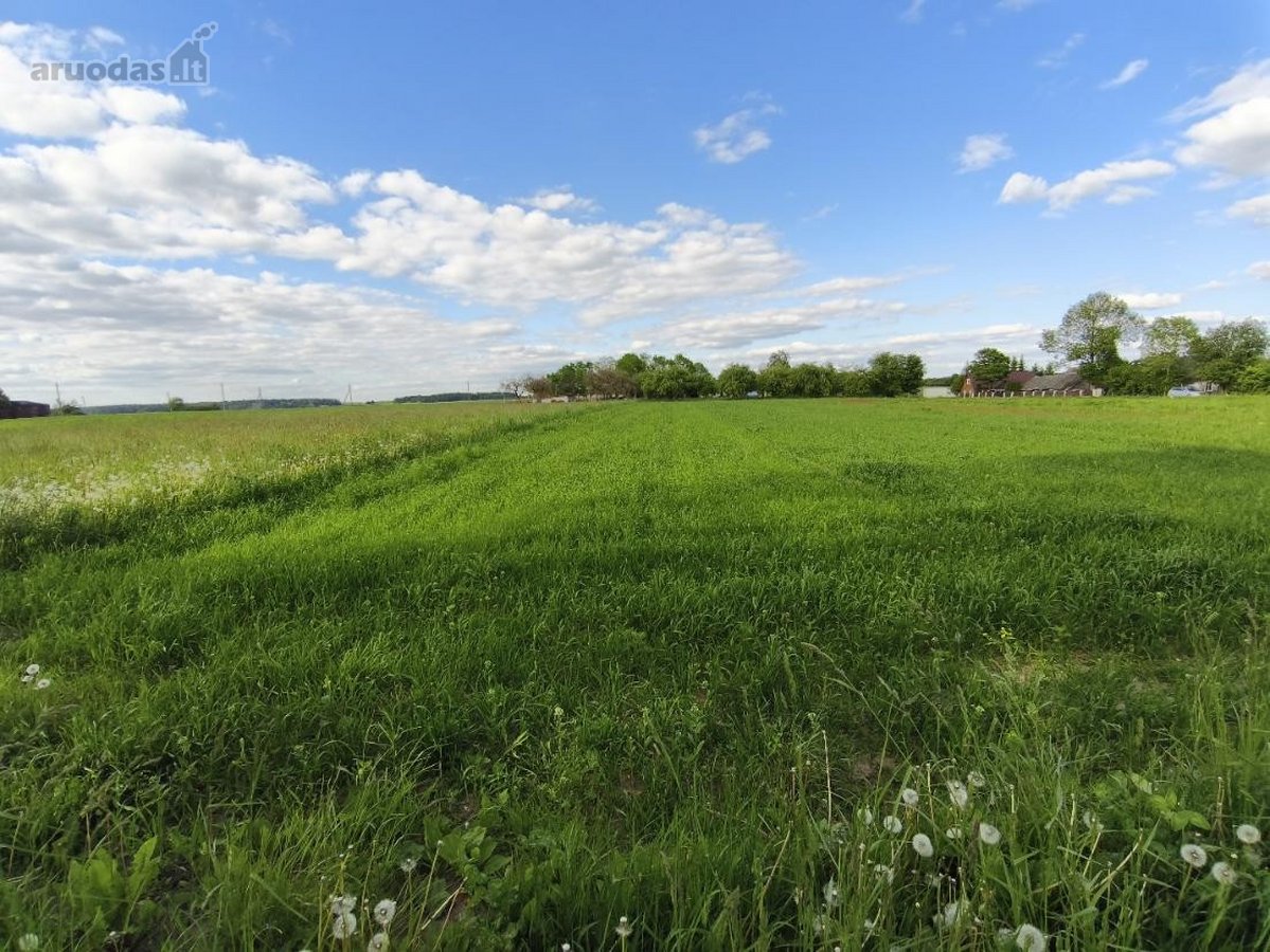 Šalčininkų r. sav., Gilviniškių k. - nuotraukos Nr. 8