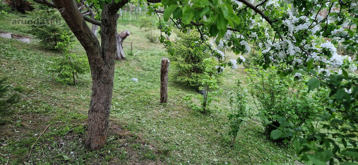 Parduodamas tvarkingas namas Klaipėdoje su - nuotraukos Nr. 15
