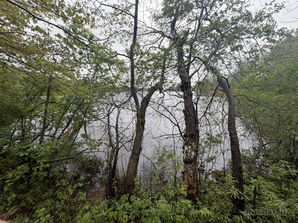 Parduodamas išskirtinis sklypas prie ežero,