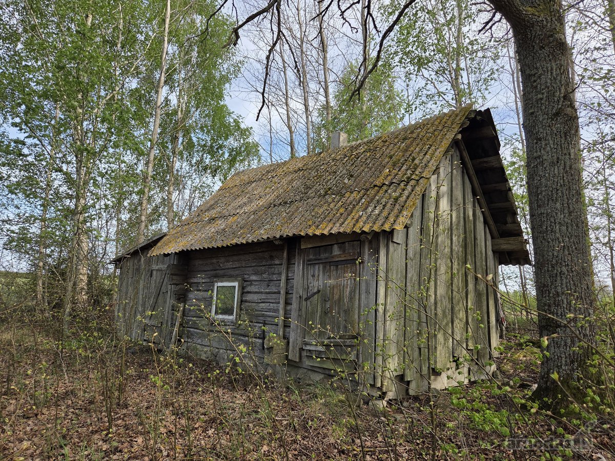 Sodyba Su 3,2 Ha Sklypu Ir Tvenkiniu Molėtų - nuotraukos Nr. 8