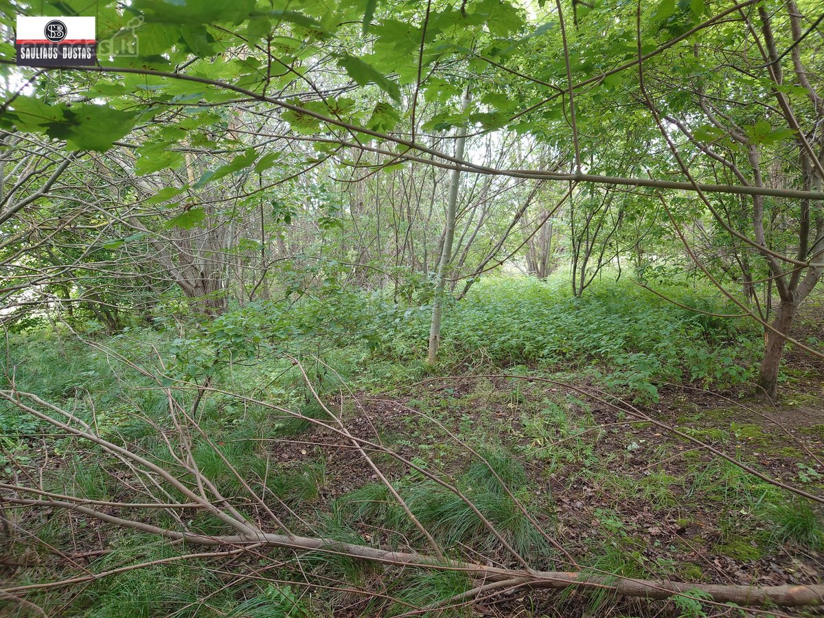Parduodamas labai pigiai geroje vietoje 5,5 a - nuotraukos Nr. 19