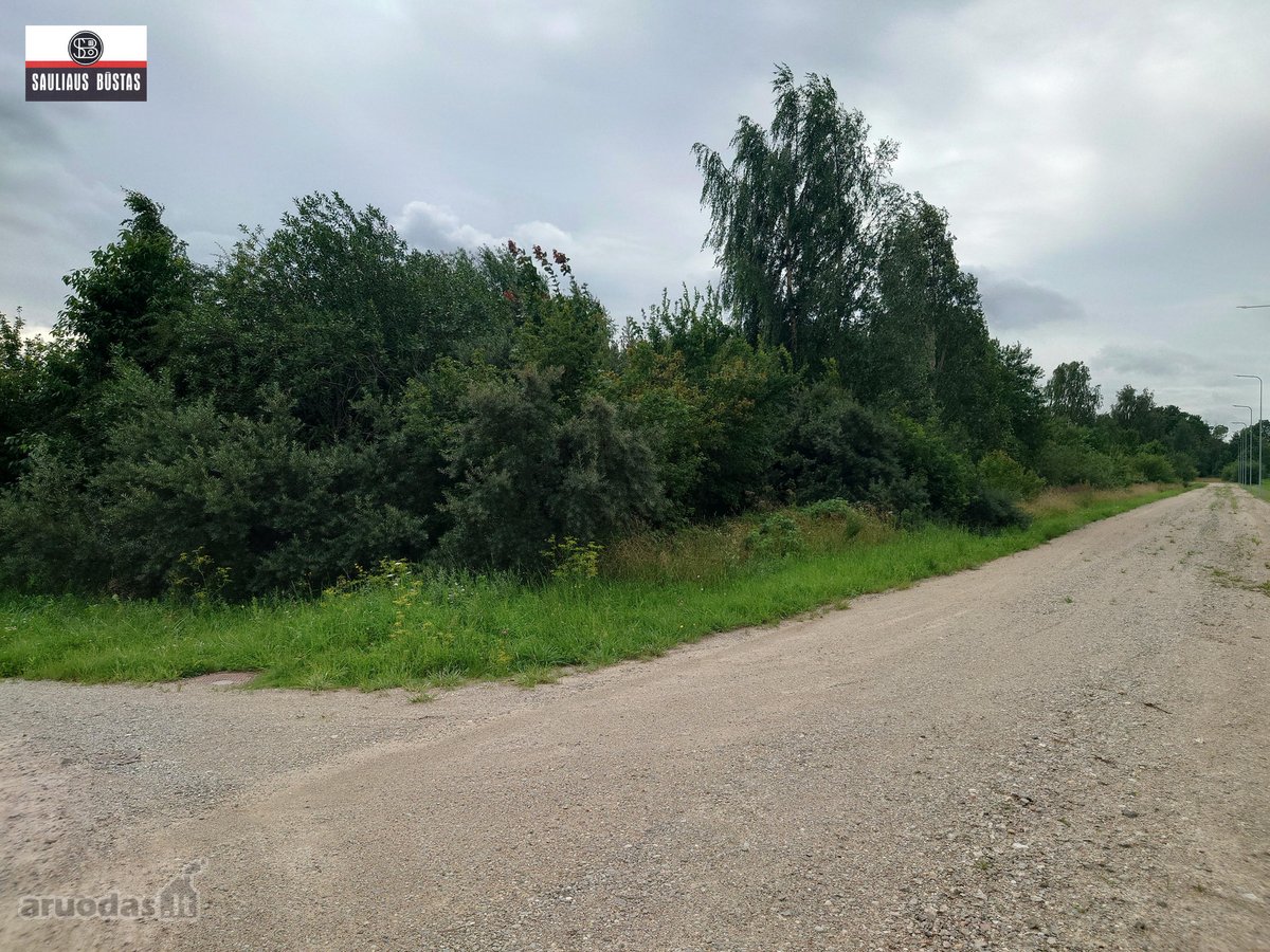 Parduodamas labai pigiai geroje vietoje 5,5 a - nuotraukos Nr. 22