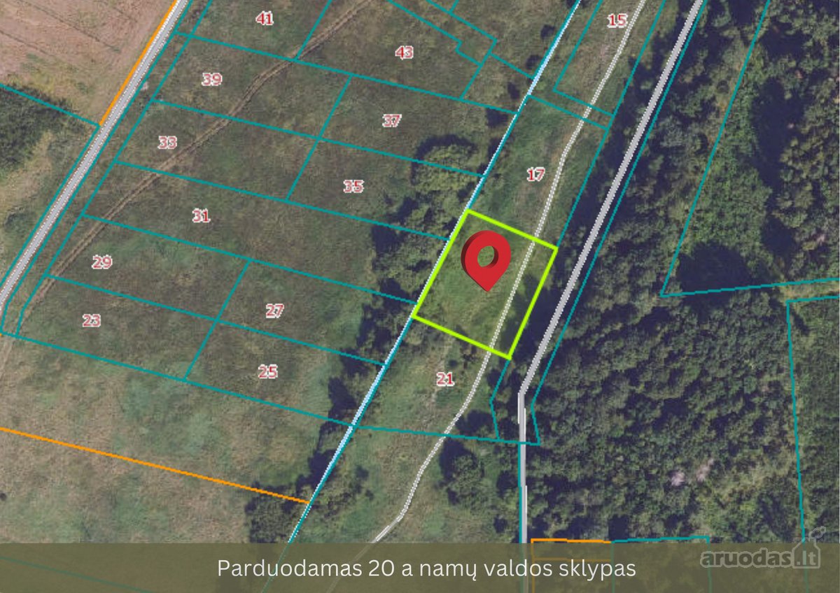 Vilniaus r. sav., Murlinės k., Paliepių miško