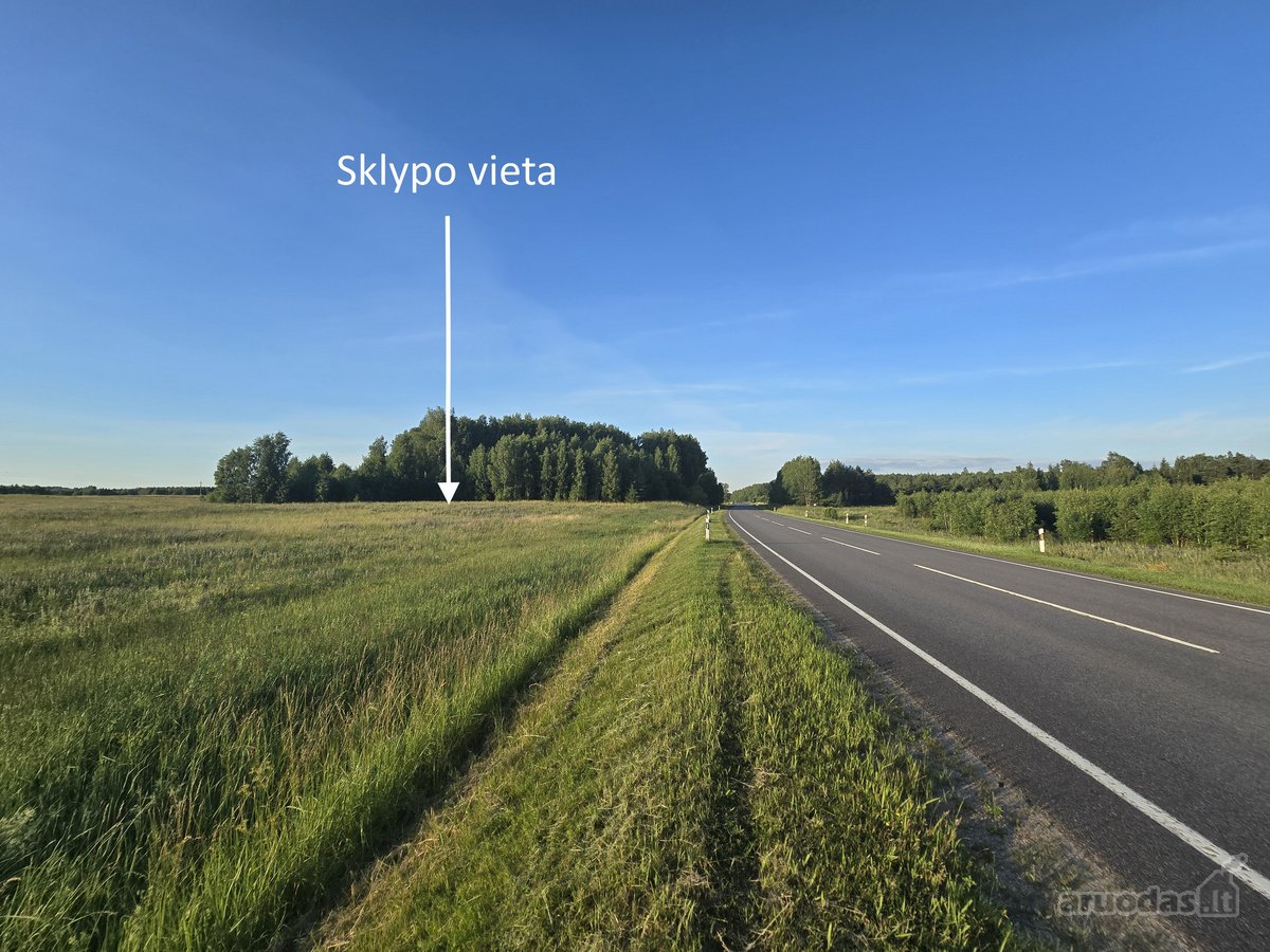 Vaizdingoje vietoje, šalia Vilniaus – - nuotraukos Nr. 2