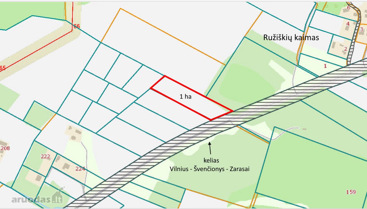 Vaizdingoje vietoje, šalia Vilniaus – - nuotraukos Nr. 4