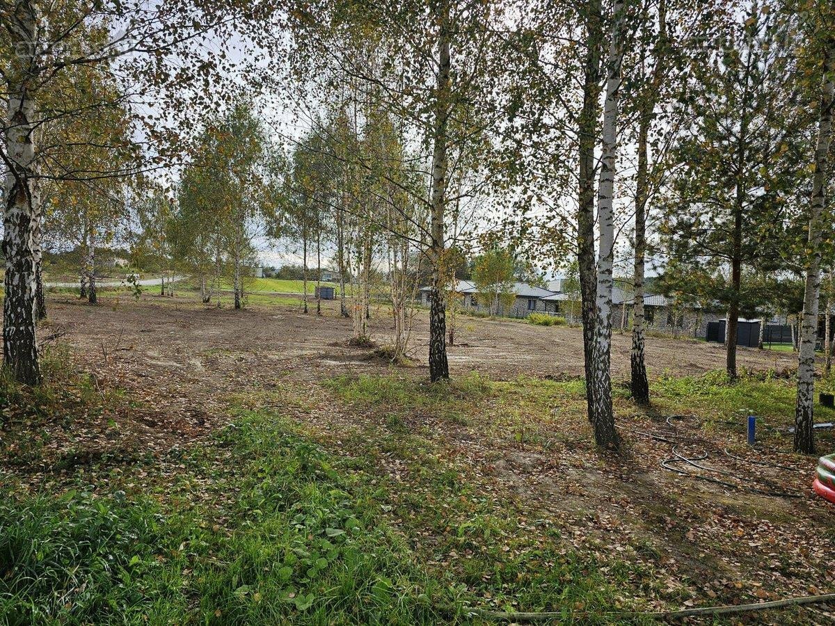 Nr.1 Namų valdos - 13,99a + 4,67 a