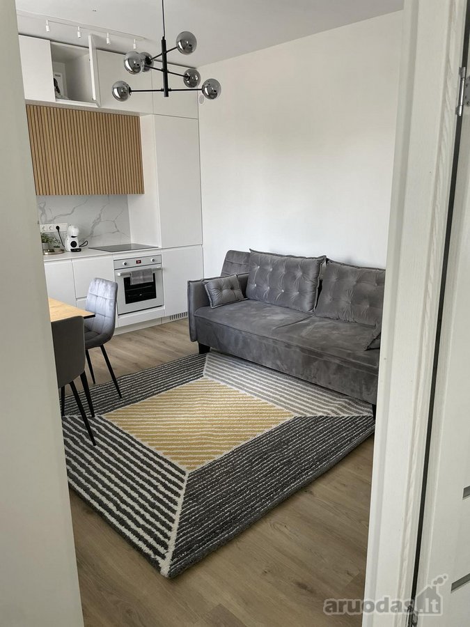 Modernus 2 kambarių butas Žaliakalnyje – - nuotraukos Nr. 8