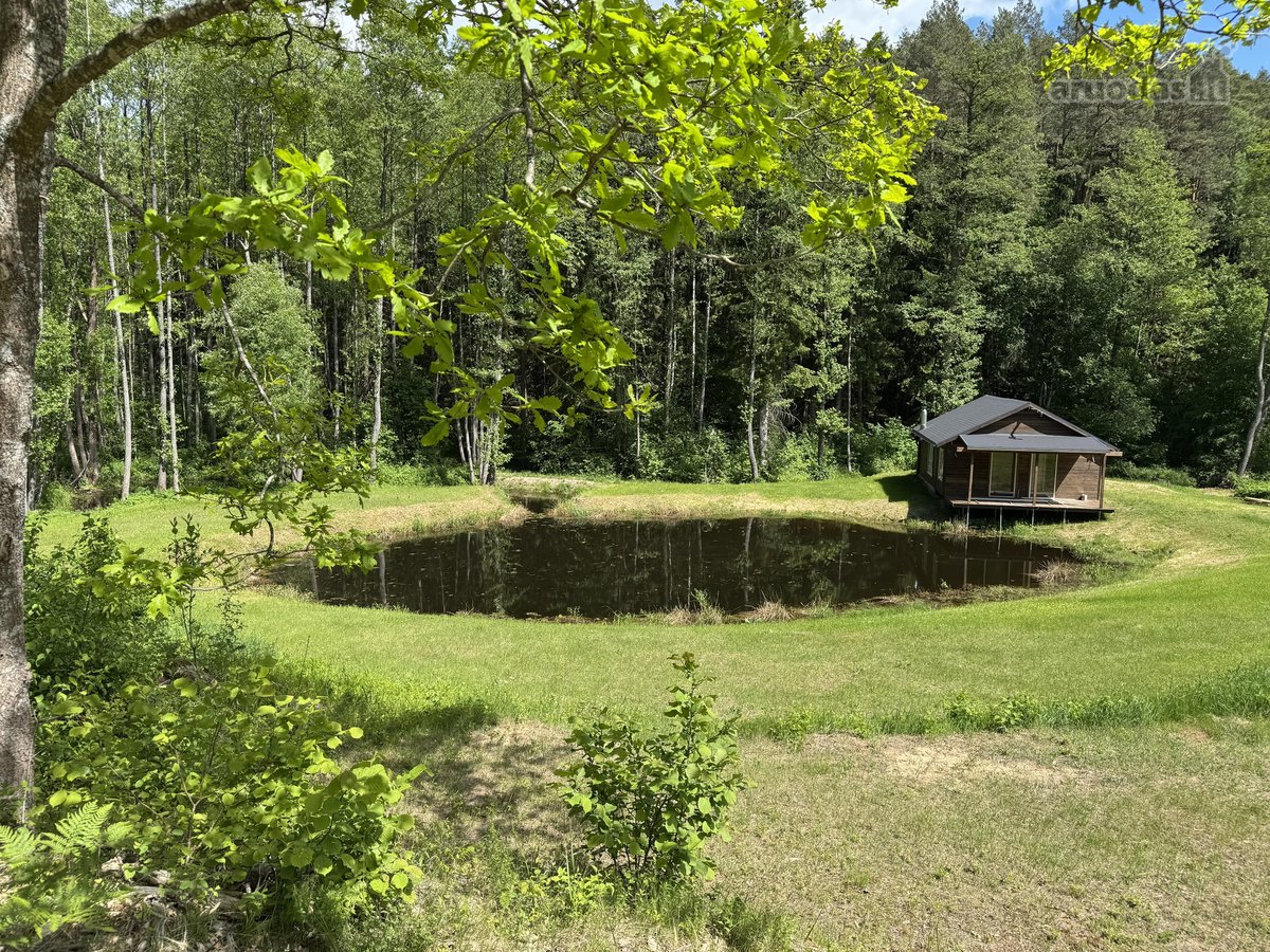 Unikalus slėnis miške(pašaliniams uždarytas - nuotraukos Nr. 6
