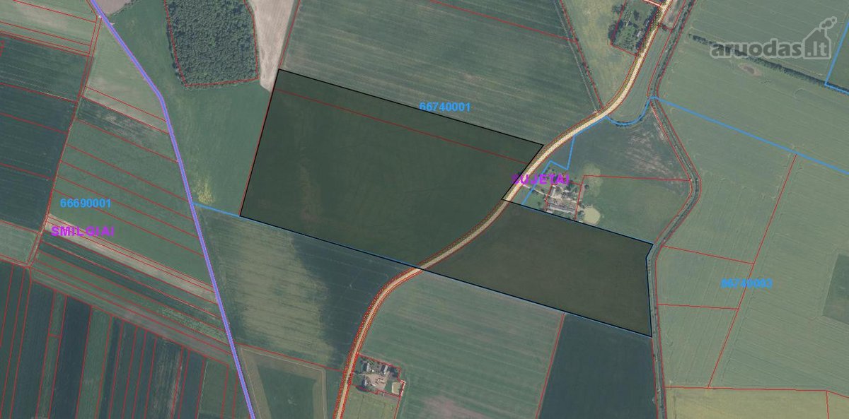 24,2 ha.