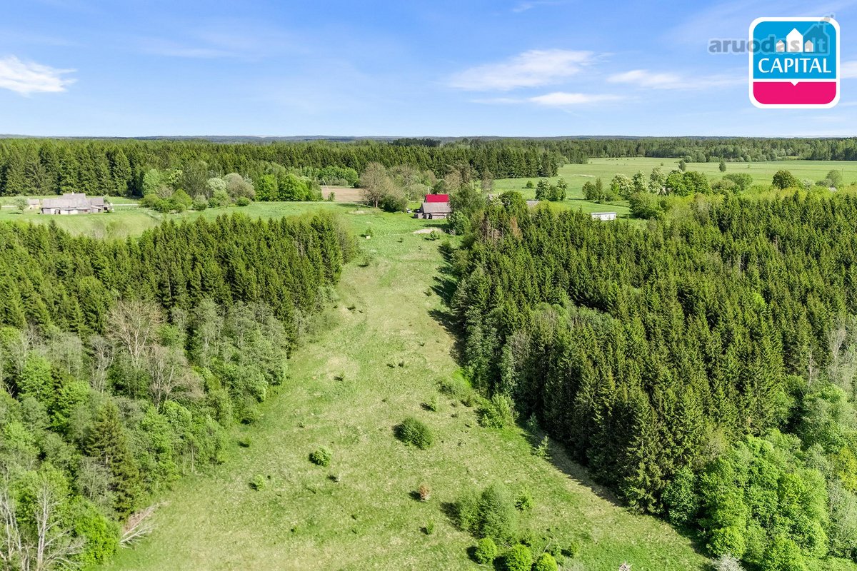 Kelmės r. sav., Bulavėnų k. - nuotraukos Nr. 12
