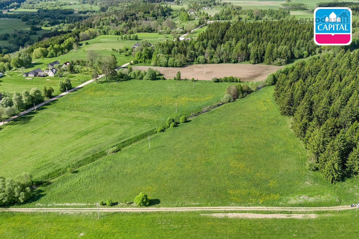 Kelmės r. sav., Bulavėnų k. - nuotraukos Nr. 18