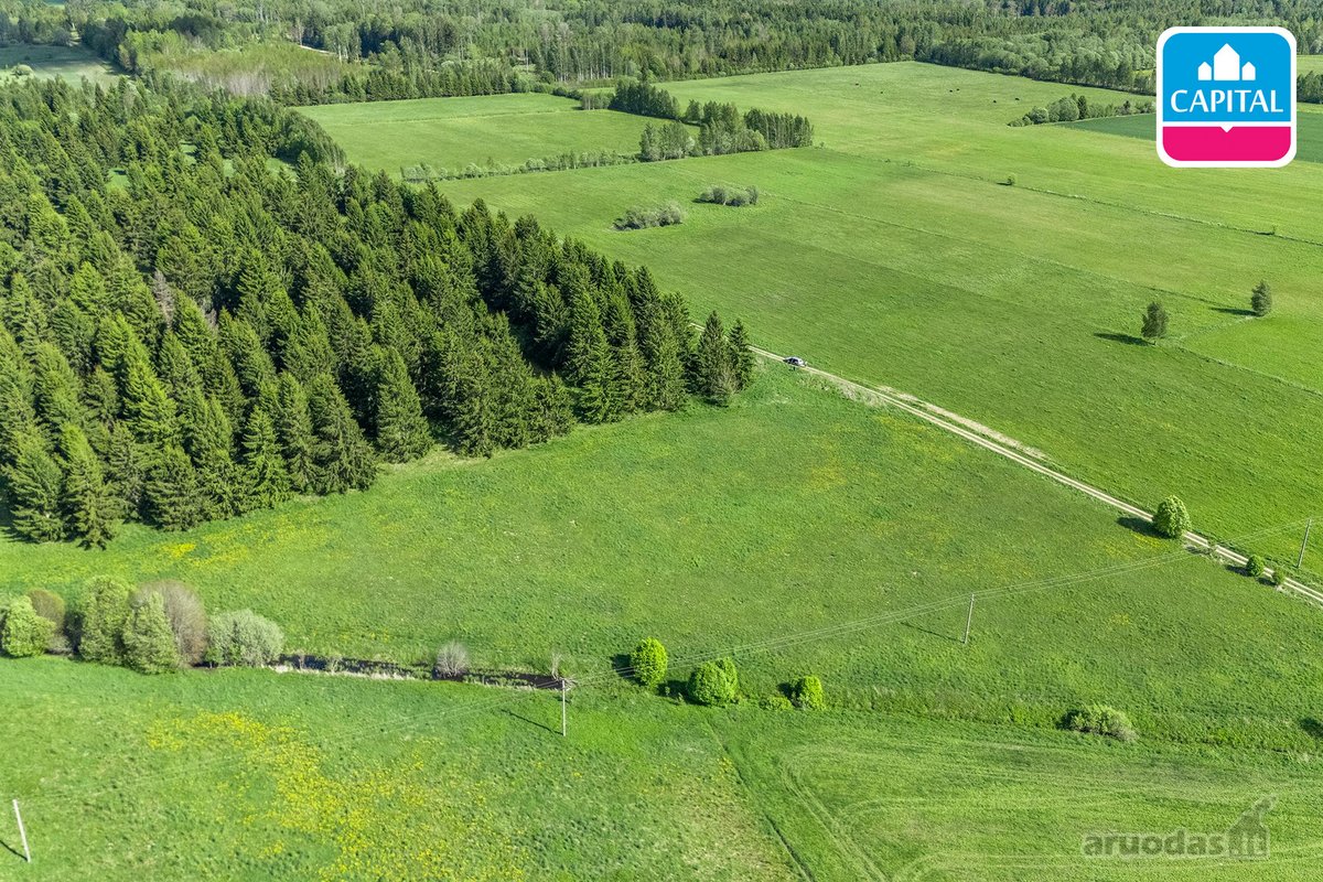 Kelmės r. sav., Bulavėnų k. - nuotraukos Nr. 19