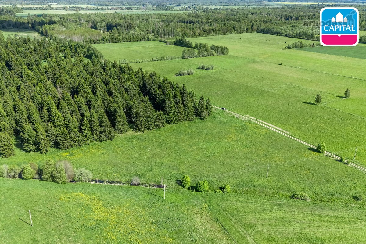 Kelmės r. sav., Bulavėnų k. - nuotraukos Nr. 20