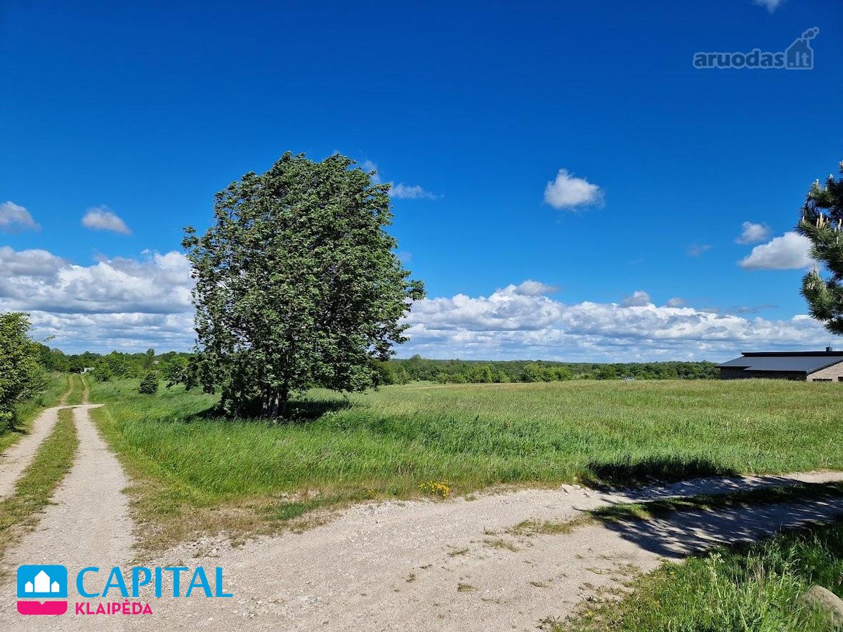 Gera Kaina! Investiciniai Žemės Sklypai - nuotraukos Nr. 6