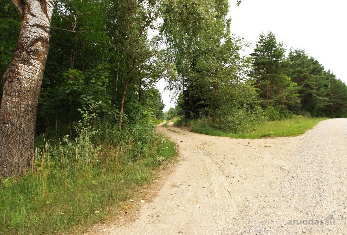 Parduodami Du sklypai vienas šalia kito, - nuotraukos Nr. 14