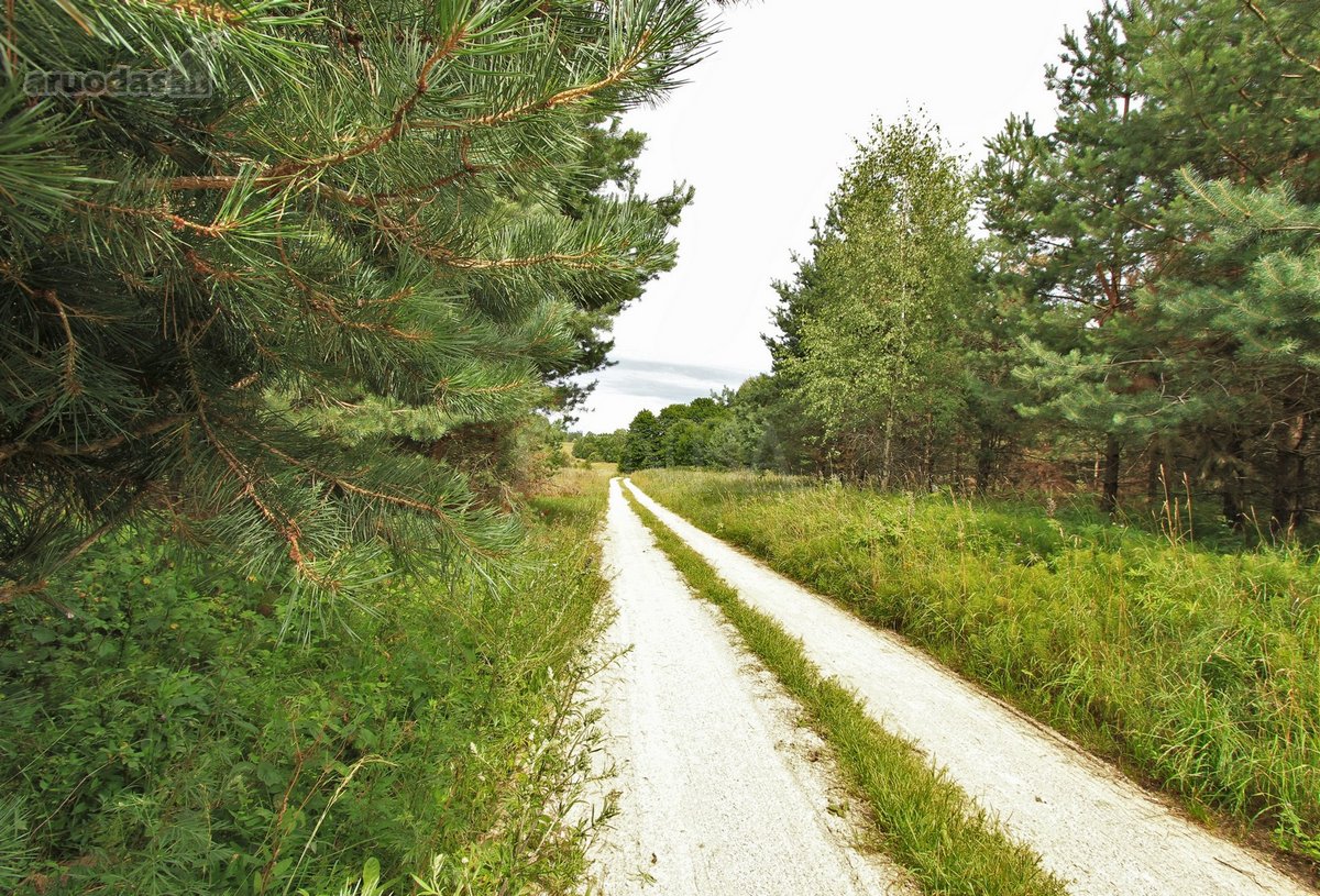 Parduodami Du sklypai vienas šalia kito, - nuotraukos Nr. 15