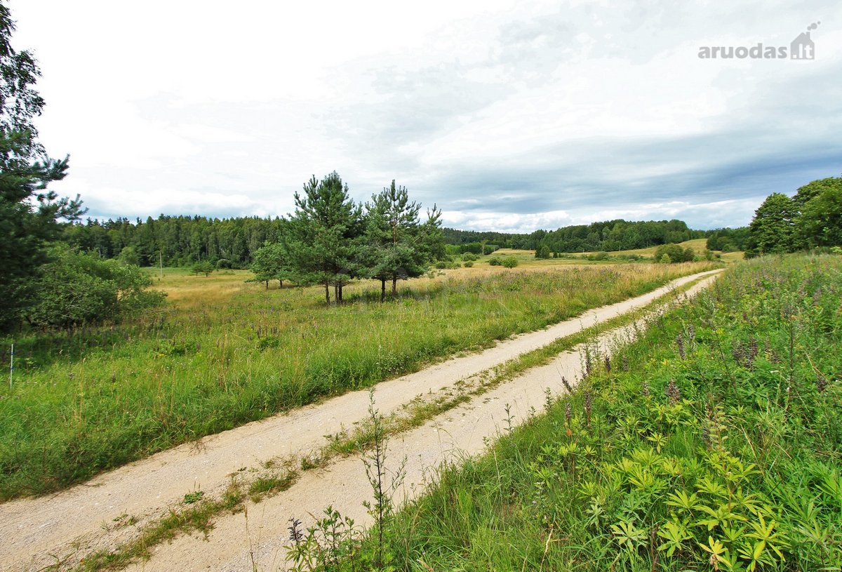 Parduodami Du sklypai vienas šalia kito, - nuotraukos Nr. 16