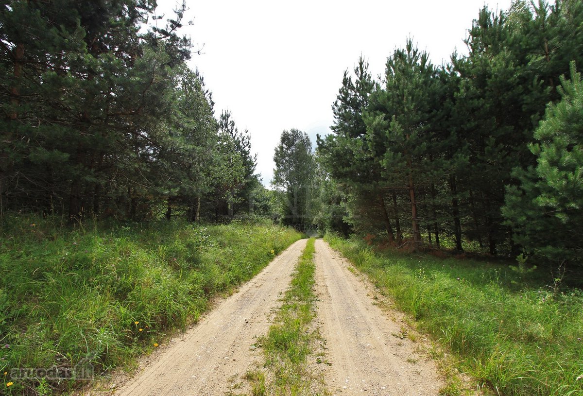Parduodami Du sklypai vienas šalia kito, - nuotraukos Nr. 17