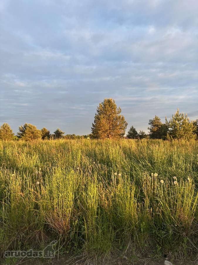 Parduodami Namų Valdos Sklypai Naujame - nuotraukos Nr. 10