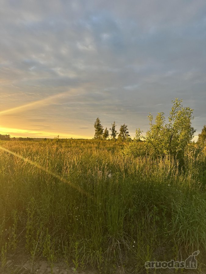 Parduodami Namų Valdos Sklypai Naujame - nuotraukos Nr. 11
