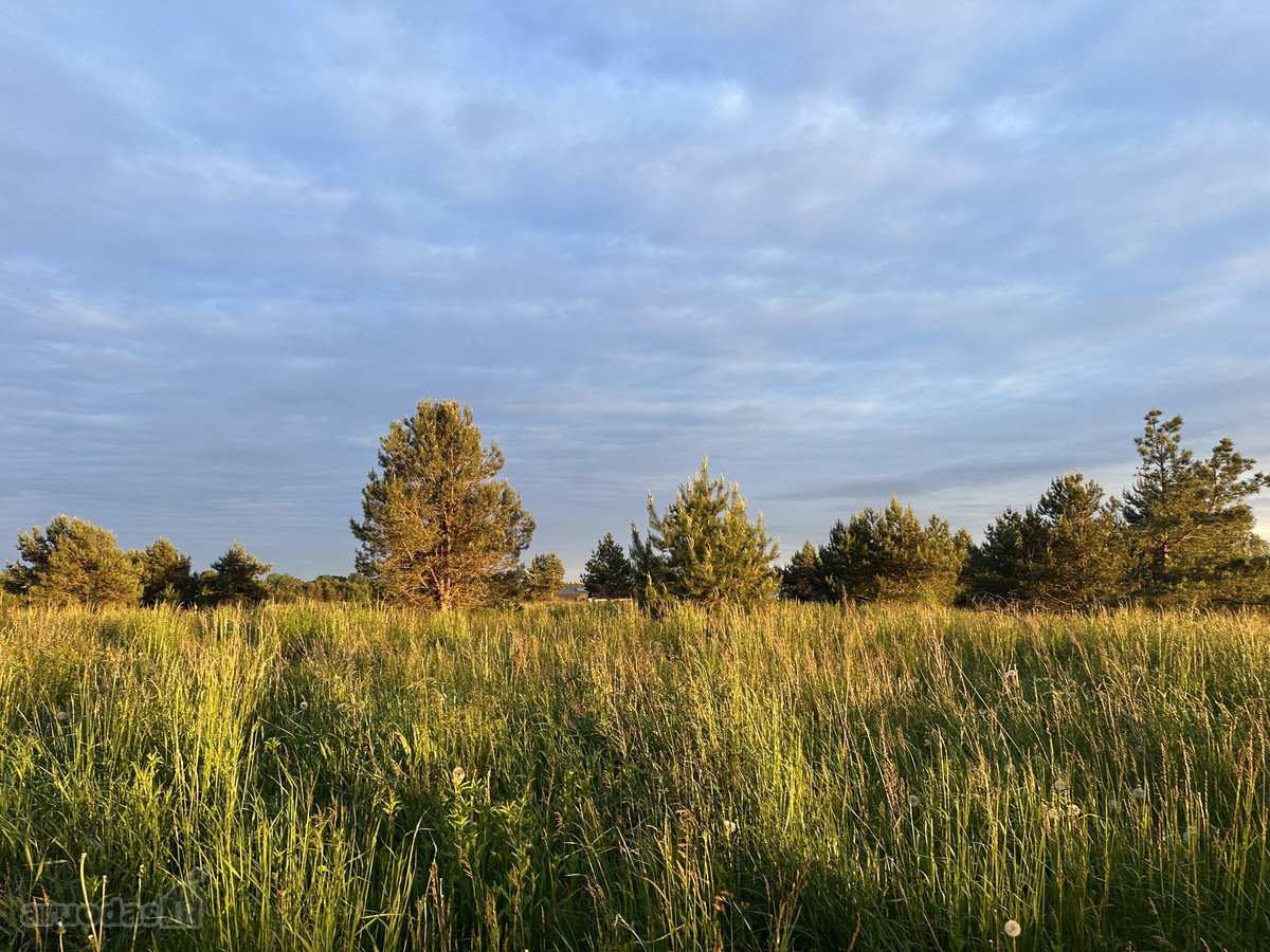 Parduodami Namų Valdos Sklypai Naujame - nuotraukos Nr. 13