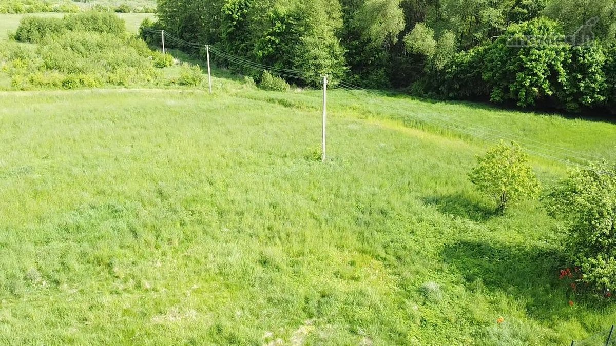 Parduodamas namų valdos žemės sklypas - nuotraukos Nr. 8