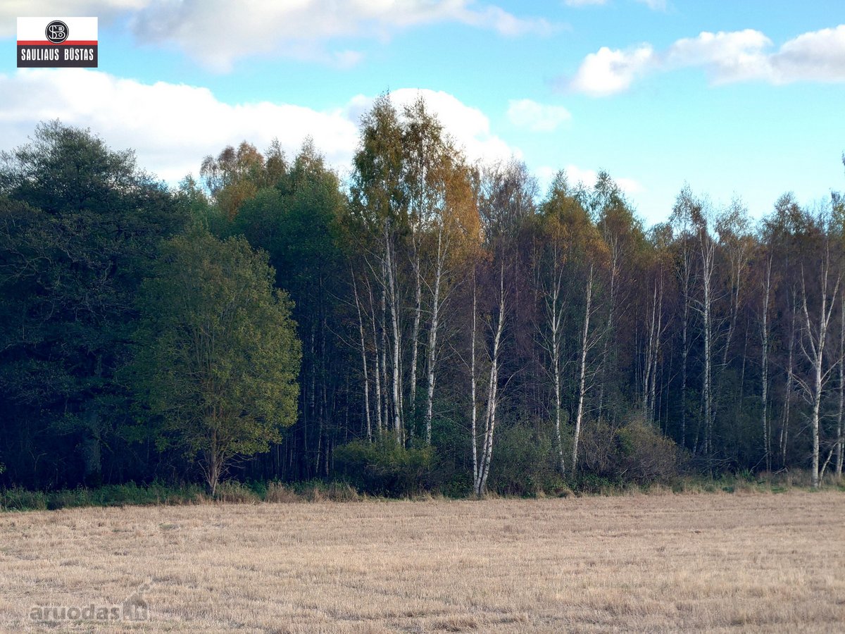 Parduodamas 4,3000 ha žemės sklypas Šiaulių - nuotraukos Nr. 18