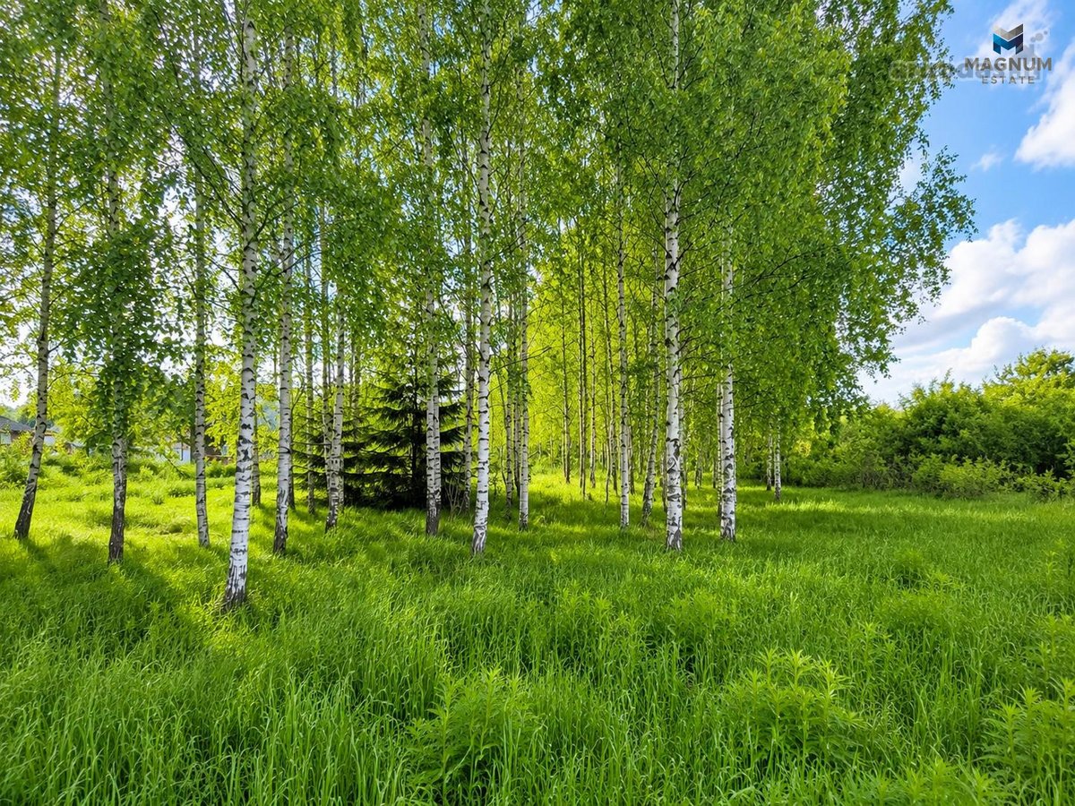 Parduodama Išskirtinė Namų Valda Pavilnyje – - nuotraukos Nr. 16