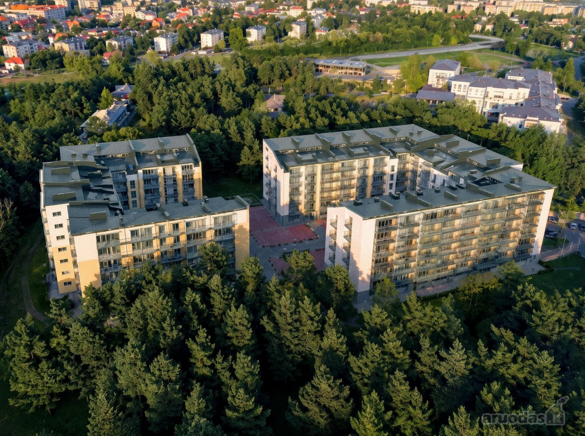 Gyvenimas pušyno apsuptyje šalia centro