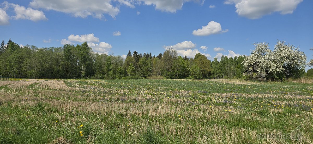 Investicinis Pasiūlymas – 2,56 Ha Sklypų - nuotraukos Nr. 13