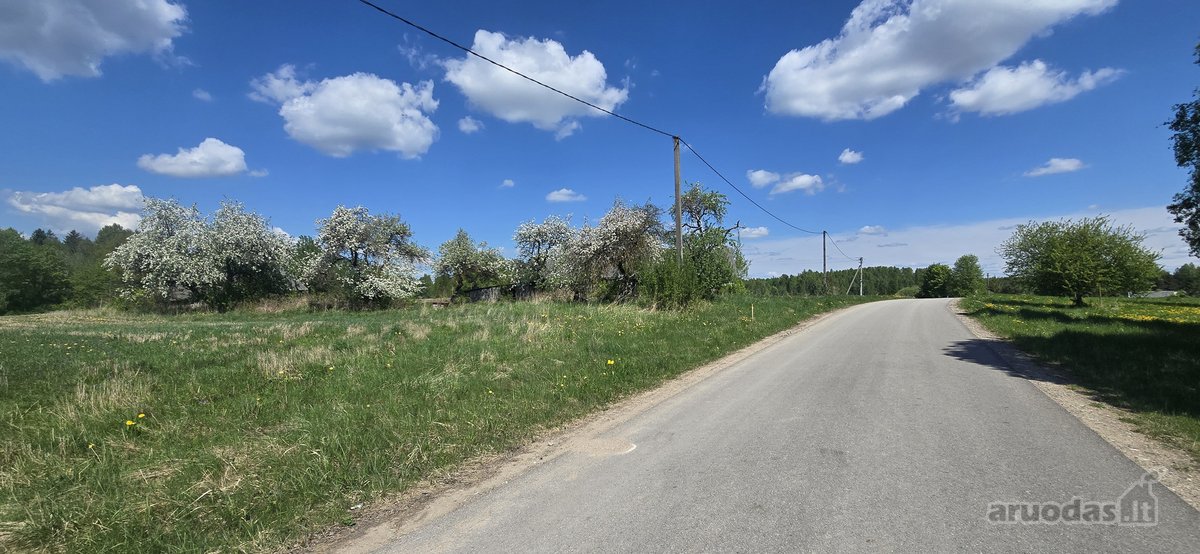 Investicinis Pasiūlymas – 2,56 Ha Sklypų - nuotraukos Nr. 16