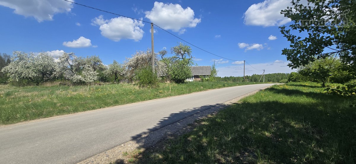 Investicinis Pasiūlymas – 2,56 Ha Sklypų - nuotraukos Nr. 17
