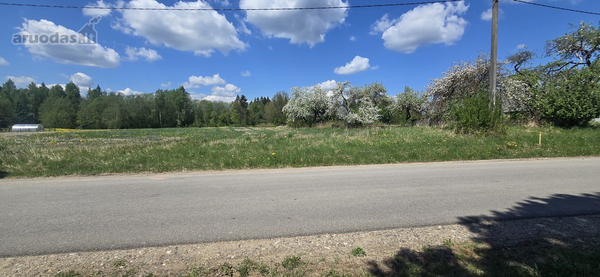 Investicinis Pasiūlymas – 2,56 Ha Sklypų - nuotraukos Nr. 19