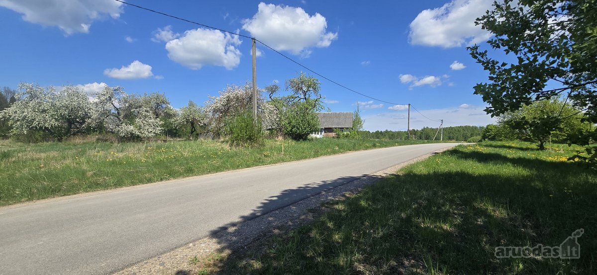 Investicinis Pasiūlymas – 2,56 Ha Sklypų - nuotraukos Nr. 20