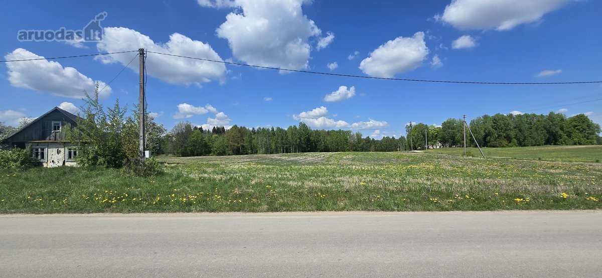 Investicinis Pasiūlymas – 2,56 Ha Sklypų - nuotraukos Nr. 25