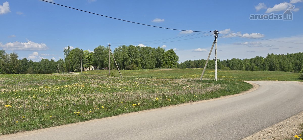 Investicinis Pasiūlymas – 2,56 Ha Sklypų - nuotraukos Nr. 12