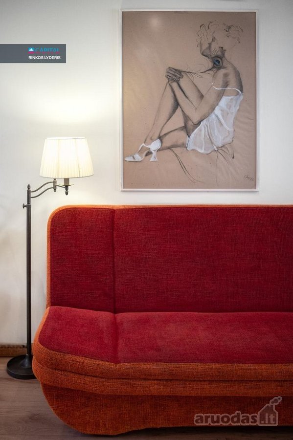 Parduodamas Veikiantis 9 Apartamentų - nuotraukos Nr. 12