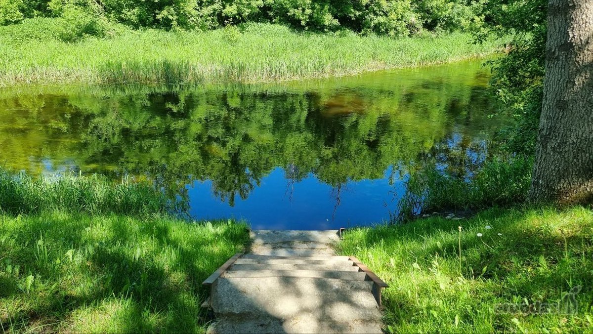 Panevėžio r. sav., Karsakiškio sen., Naujikų - nuotraukos Nr. 21