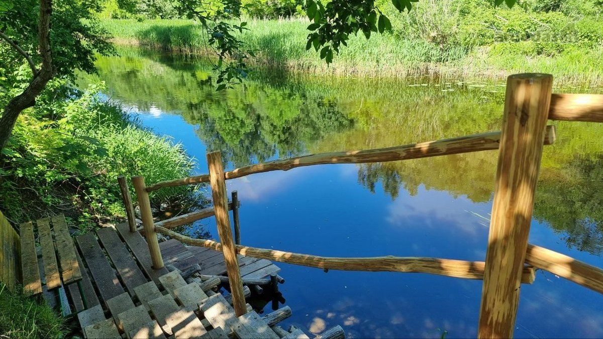 Panevėžio r. sav., Karsakiškio sen., Naujikų - nuotraukos Nr. 22