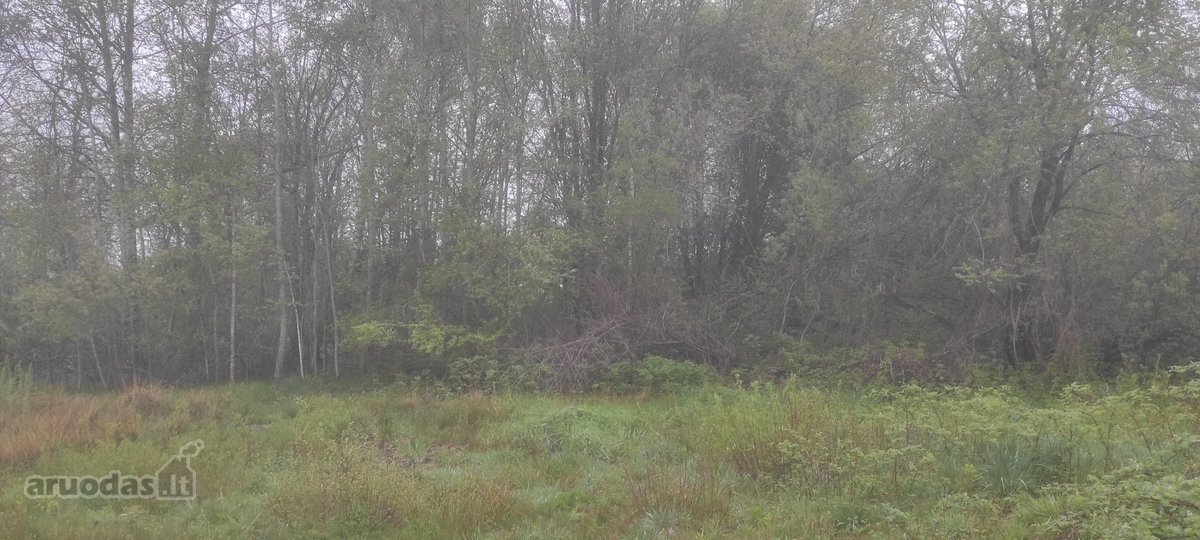 Ieškote vietos savo svajonių namams gamtos - nuotraukos Nr. 2