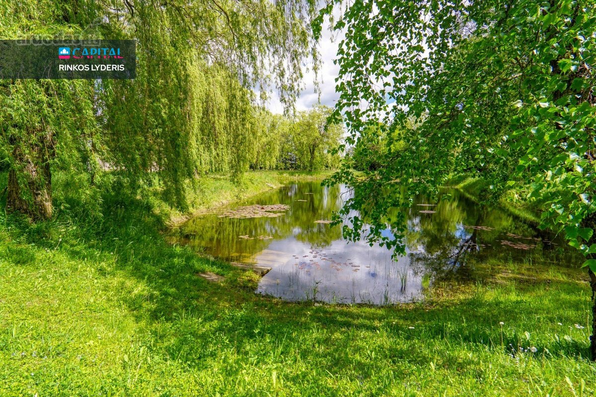 Panevėžio Rajone Algirdiškio K. Šiaulių G. - nuotraukos Nr. 24