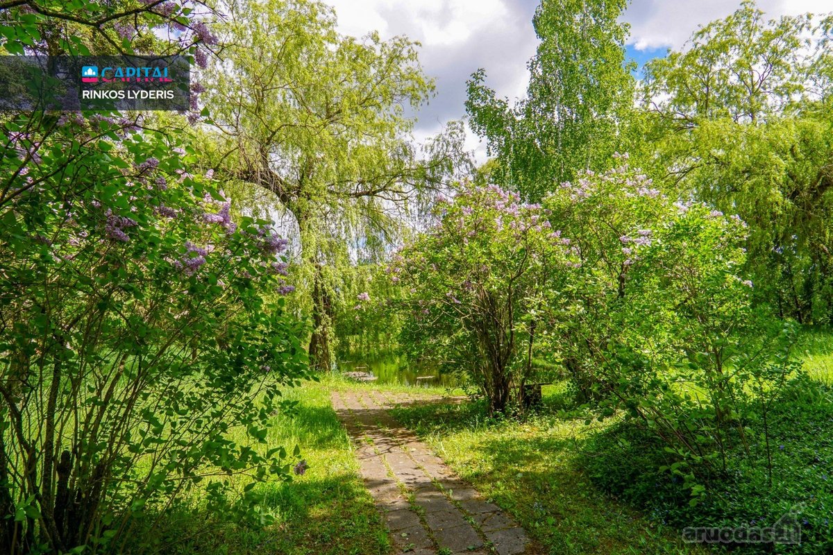 Panevėžio Rajone Algirdiškio K. Šiaulių G. - nuotraukos Nr. 25