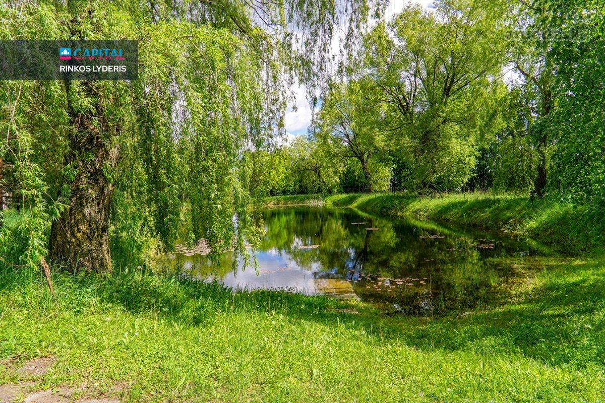 Panevėžio Rajone Algirdiškio K. Šiaulių G. - nuotraukos Nr. 26