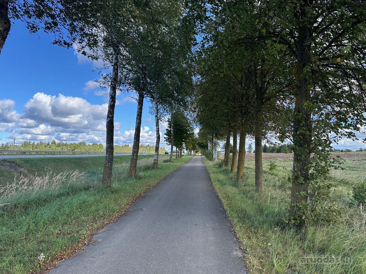 Išsimokėtinai parduodamas 12,97 a. namų - nuotraukos Nr. 12