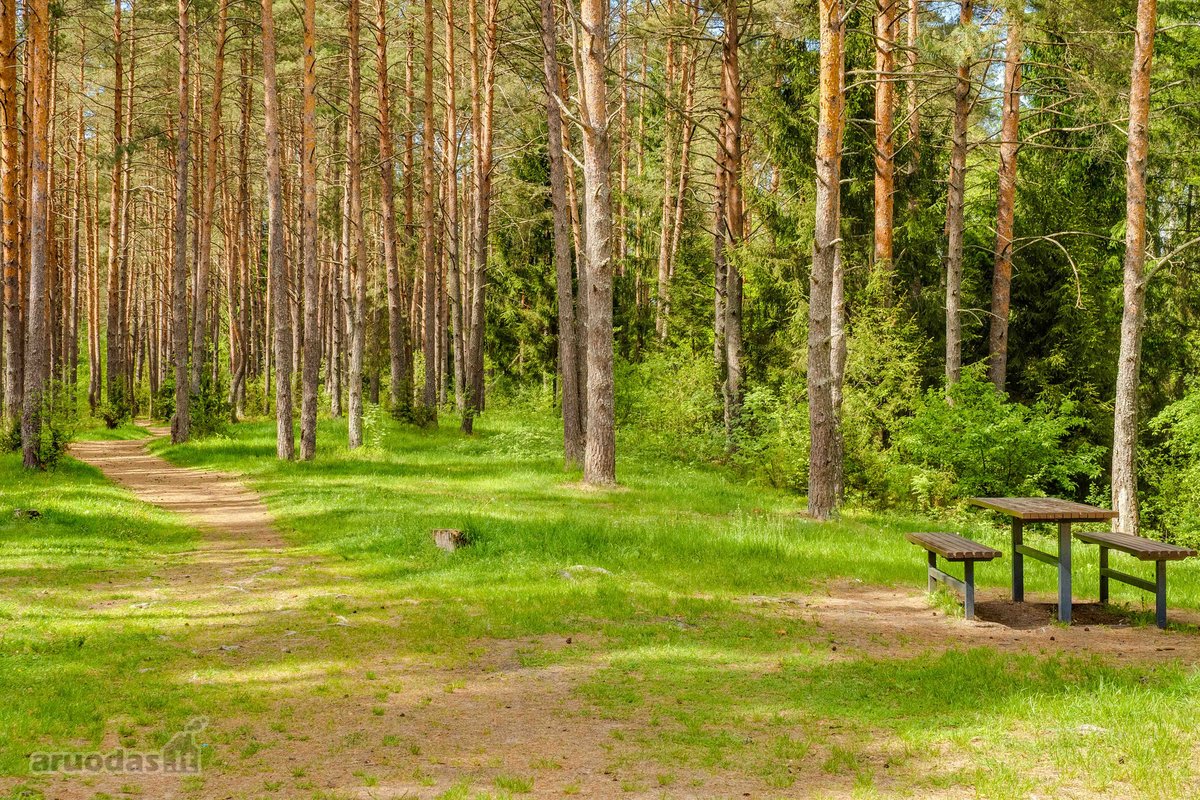 Parduodamas puikiai išlaikytas, patogiai - nuotraukos Nr. 47