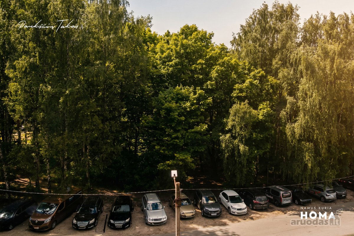 „Paukščių takas“ - ieškantiems patogios - nuotraukos Nr. 15