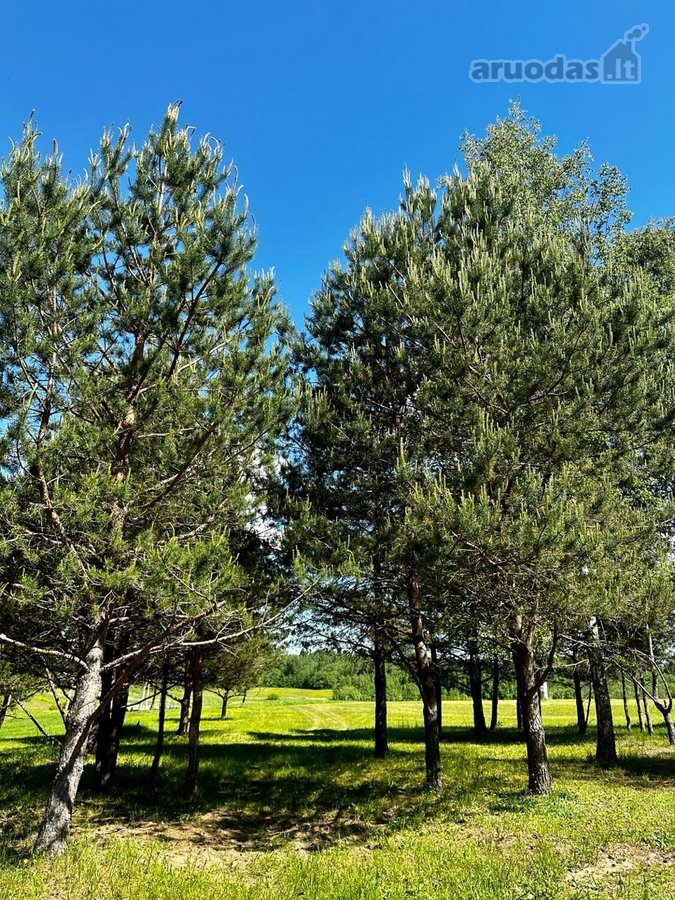 Parduodami 6 išskirtiniai namų valdos sklypai - nuotraukos Nr. 25