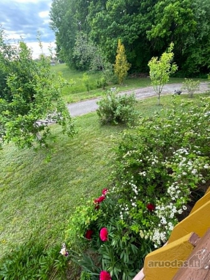  Išpuoselėta aplinka ir keli sklypai: namų - nuotraukos Nr. 6